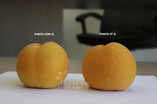 PUNTO COM ® Φωτογραφία 3
